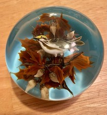 Rick Ayotte Wren Paperweight