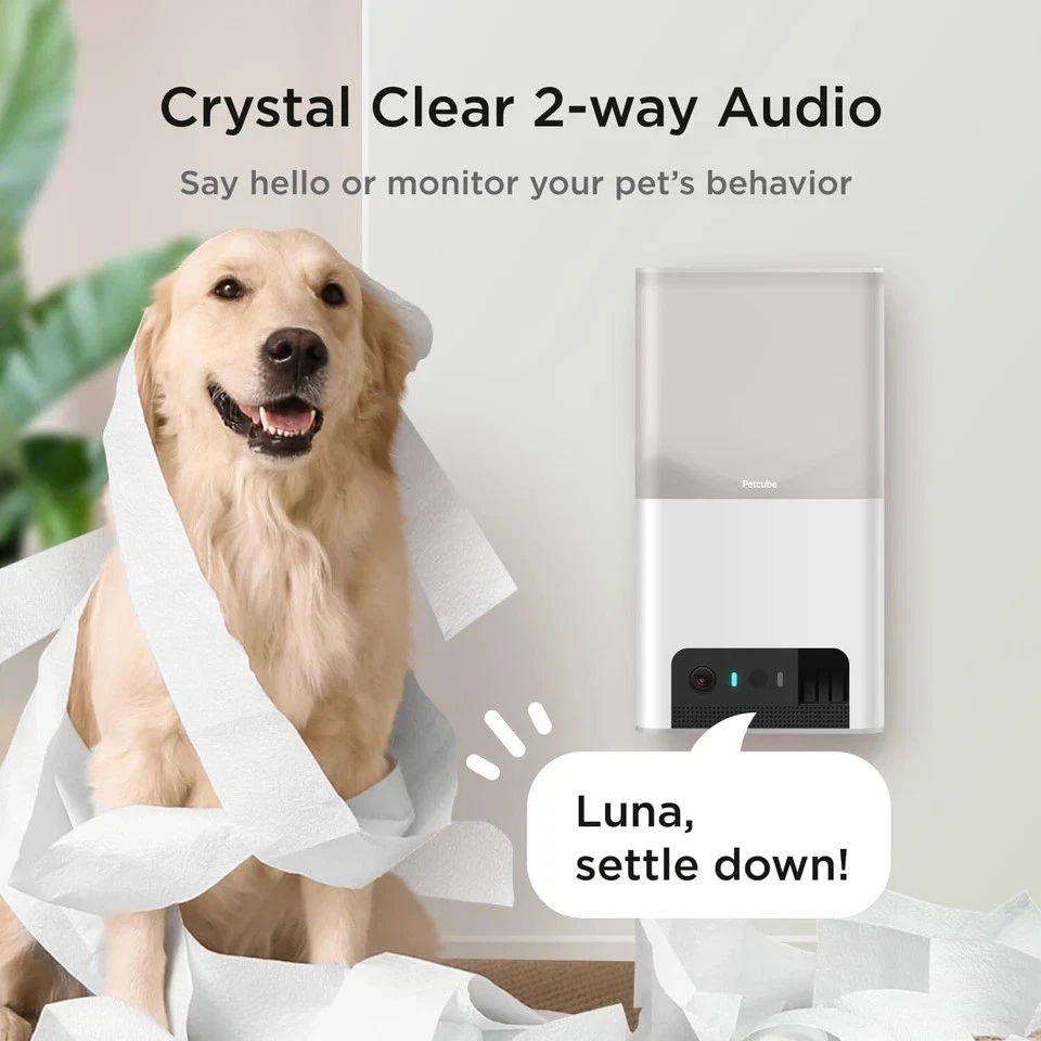 Petcube Bites 2 Lite Pet WiFi Monitoring Camera &Treat Dispenser 1080p HD - Image 4 of 4