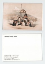 Vintage Postcard New Zealand George French Angas Tangi Mount Egmont RSI Stamps