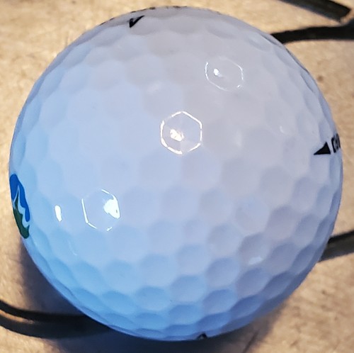 1 Callaway Bajamar Ocean Resort Logo Golf Ball Mexico Course Ensenada Golfball - 第 7/7 張圖片