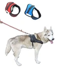 Adjustable No-Pull Padded Dog Harness with Reflective Stitching