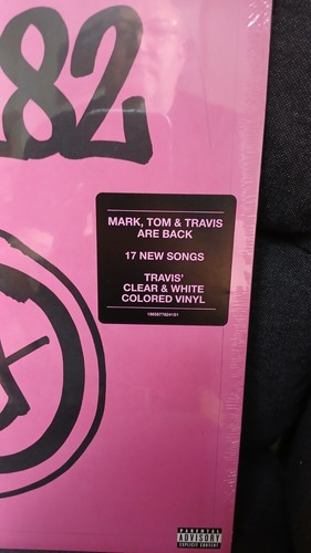 Blink 182-One More Time-Travis' Clear&White Marble Ltd Edition 12" Vinyl Sealed - Picture 2 of 4