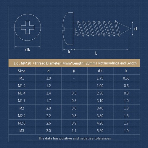 M1M1.2M1.4M1.7M2M3M4 Assortimento di vi per legno autofilettanti in acciaio inossidabile Phillips Set di vi per chiodi con filettatura a testa piatta  13