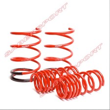 Skunk2 Racing Lowering Springs For 2001-2005 Honda Civic Sedan And Coupe Skunk2 Racing Lowering Springs For 2001-2005 Honda Civic Sedan And Coupe
