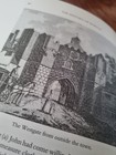 Picture 7 of 11