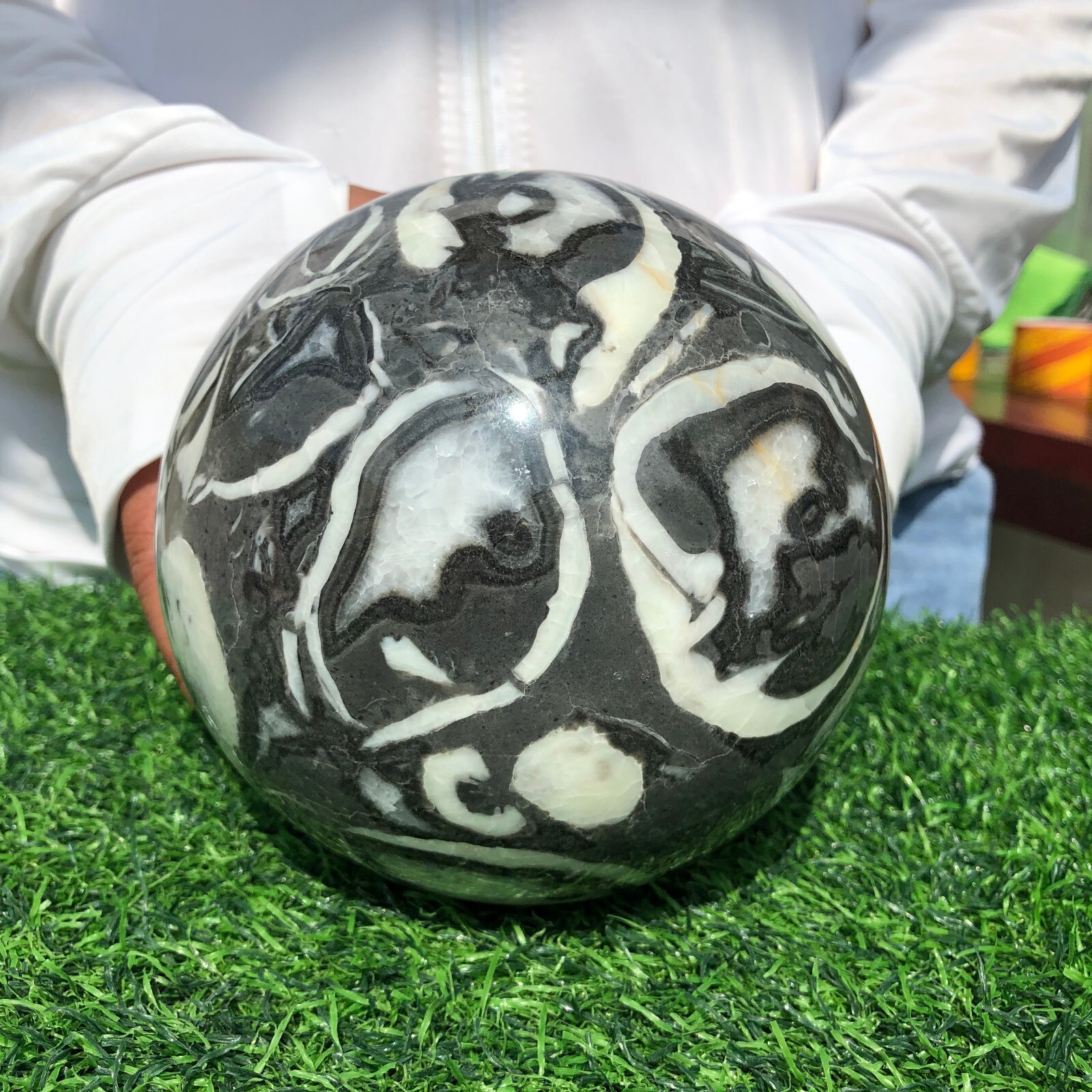 6.7LB Natural Shell Thousand Eye Stone Jasper Quartz Crystal Ball Reiki