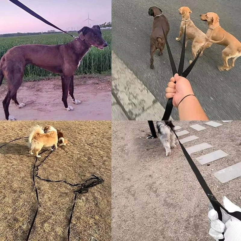 1.8M-50M Long Nylon Dog Lead Pet Puppy Training Leash Recall Rope Obedience Slip