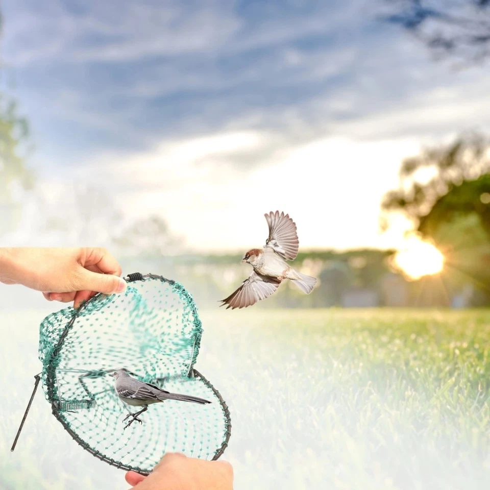 Humane Live Trap Mesh Portable Bird Net For Catching Sparrows Pigeons - Image 3 of 4
