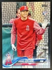 2018 Topps Shohei Ohtani SP Variation Rookie RC VAR #700b Angels