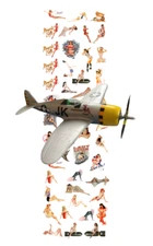 Nose Art WW2 Pin Ups Girls  Water Slide Decals for model airplane or diecast