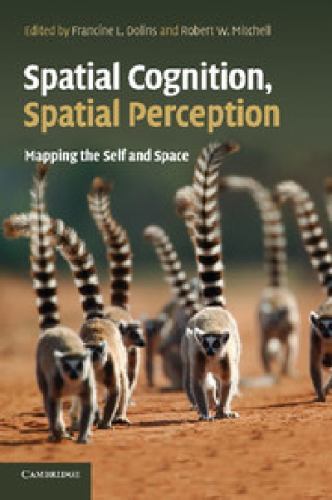 Spatial Cognition, Spatial Perception Mapping the Self and Space Dolins Mitchell