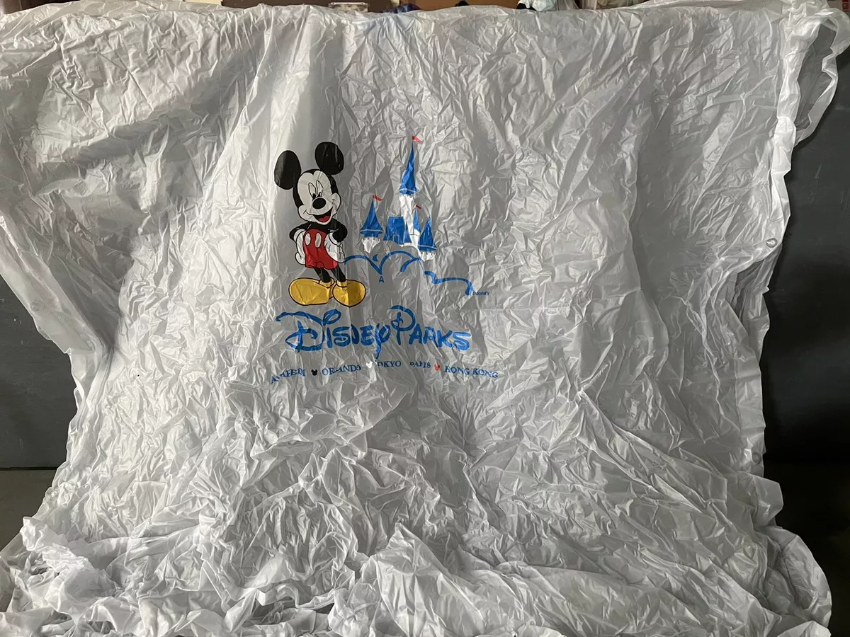 Disney rain 2025 jacket for adults