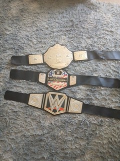 3 x Kids WWE World Wrestling Championship
