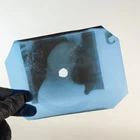 ROLLING STONES SHE SAID YEAH X-Ray USSR Record Roentgen Bone Ribs Music Vinyl