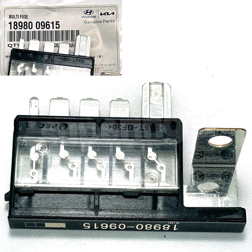 Multi Fuse 1898009615 18980-09615 For Hyundai ELANTRA/LANTRA 