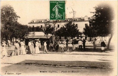 CPA ALGERIA Geiser 9 TENES Place du Marché (756176)