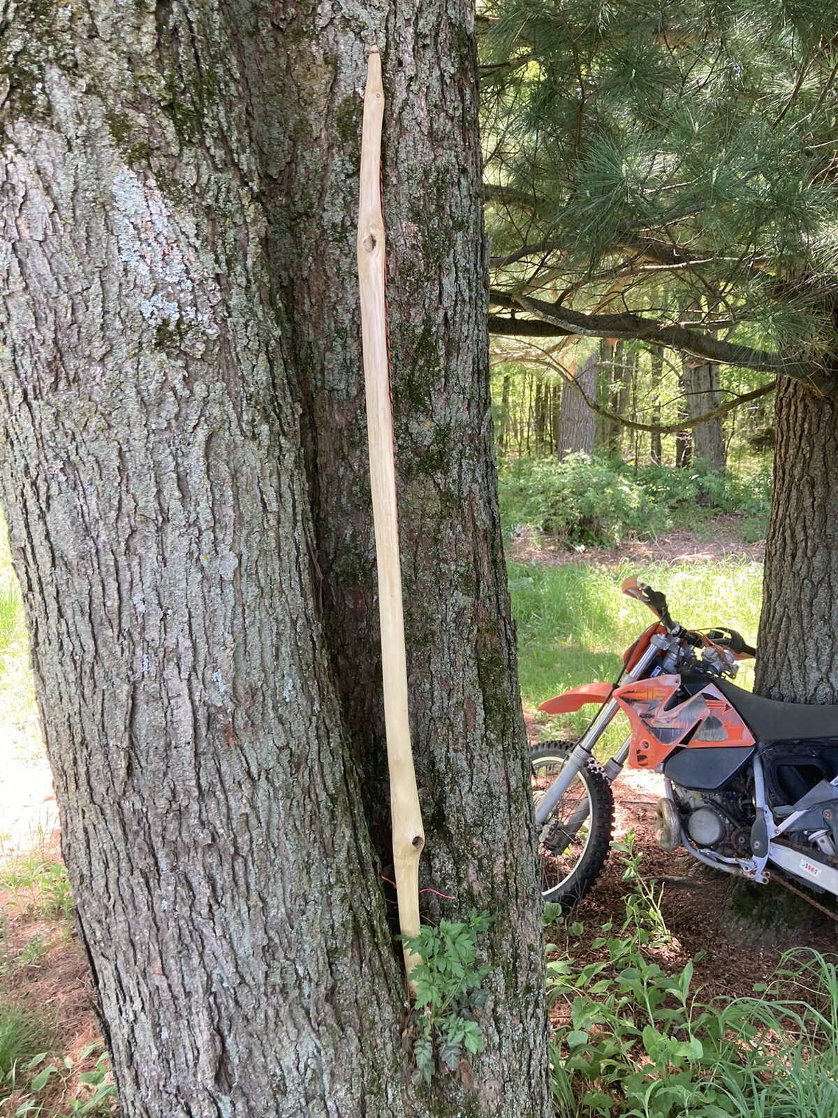 Handcrafted Sinew Backed Primitive Flat Bow /walking Stick ,56lb/27”