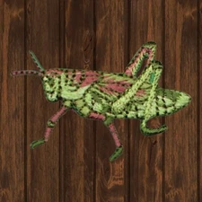 Grasshopper Embroidered Patch — Iron On