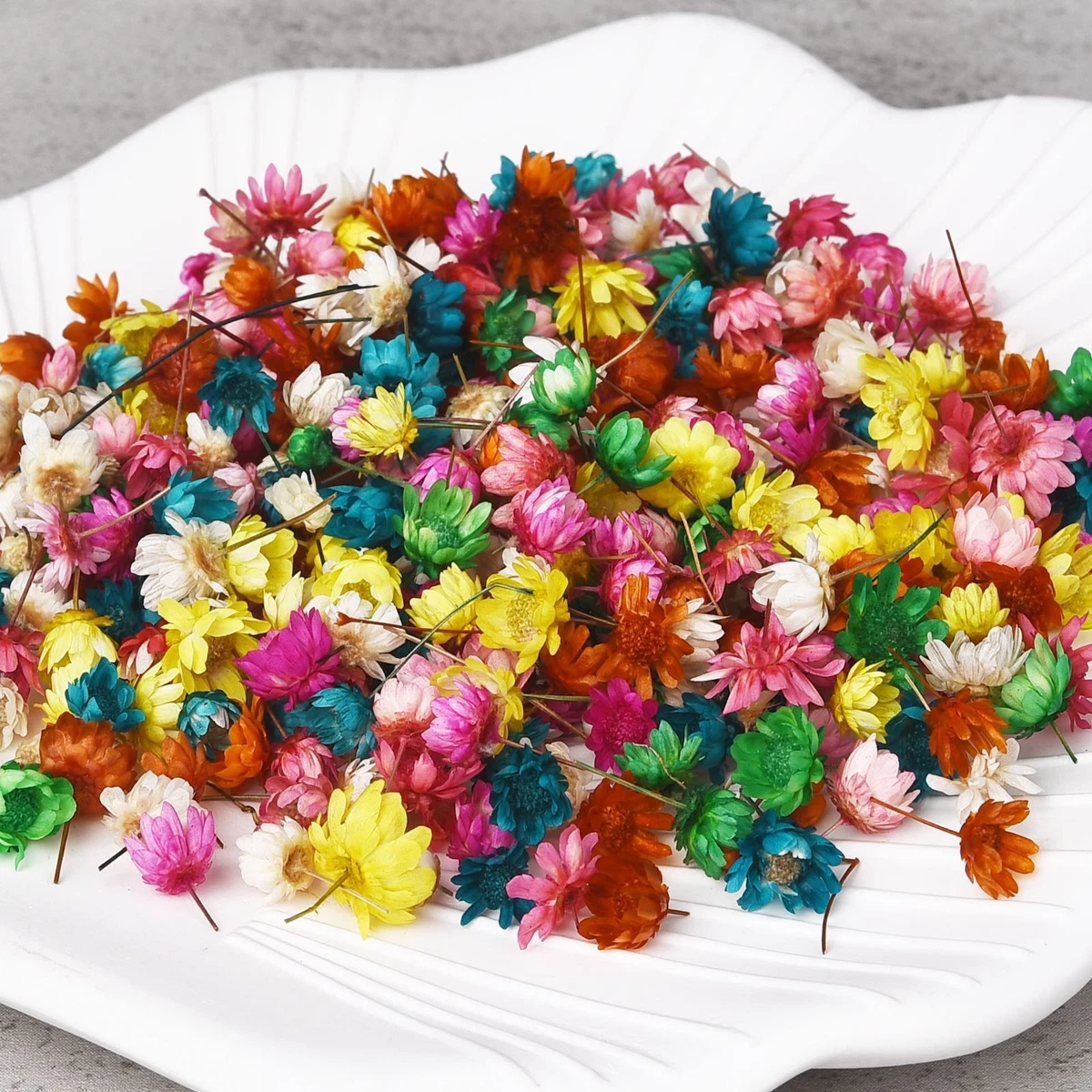 Real Dried Flowers - DIY Resin Flower Art Craft Candle Making Home  Decoration