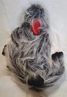 Bild 1 von 5