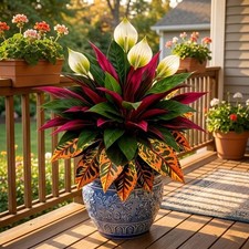 Artificial Dragon Blood Tree Real Touch Branch Fade Resistant UV Fall Home Decor