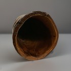 Bild 3 von 4