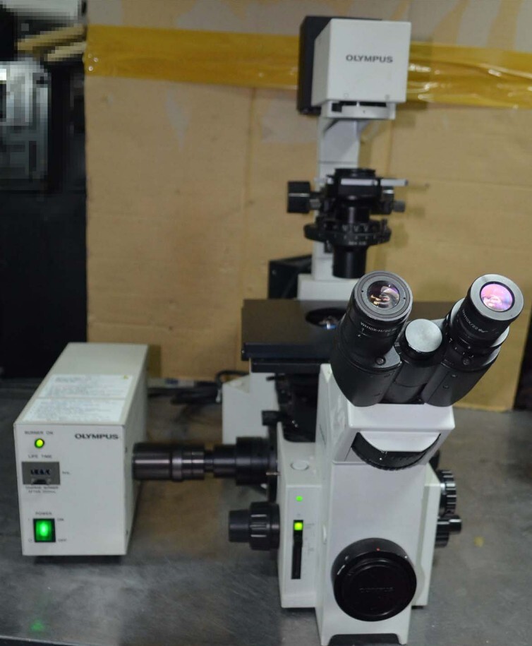 Olympus IX70 Inverted Fluorescence Microscope [#A405] | eBay