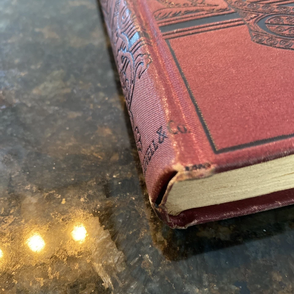 THE DEER SLAYER A TALE BY J. FENIMORE COOPER HC 1880’s Sterling Deerslayer - Image 3 of 4