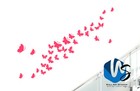 Bild 10 von 25