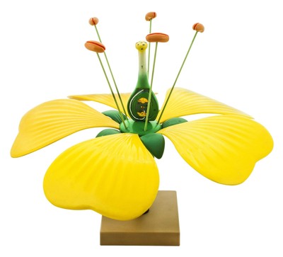 Labs Model Typical Flower