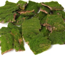 BYHER Assorted Artificial Moss Bark, Decorative Mossy Realistic Green - 100gr 