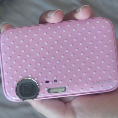 【動作品&多言語版】Sony Cyber-shot DSC-TX20 ピンク Mint] SONY Digital Camera DSC-WX200 Pink Cyber-shot 18.2MP 10x