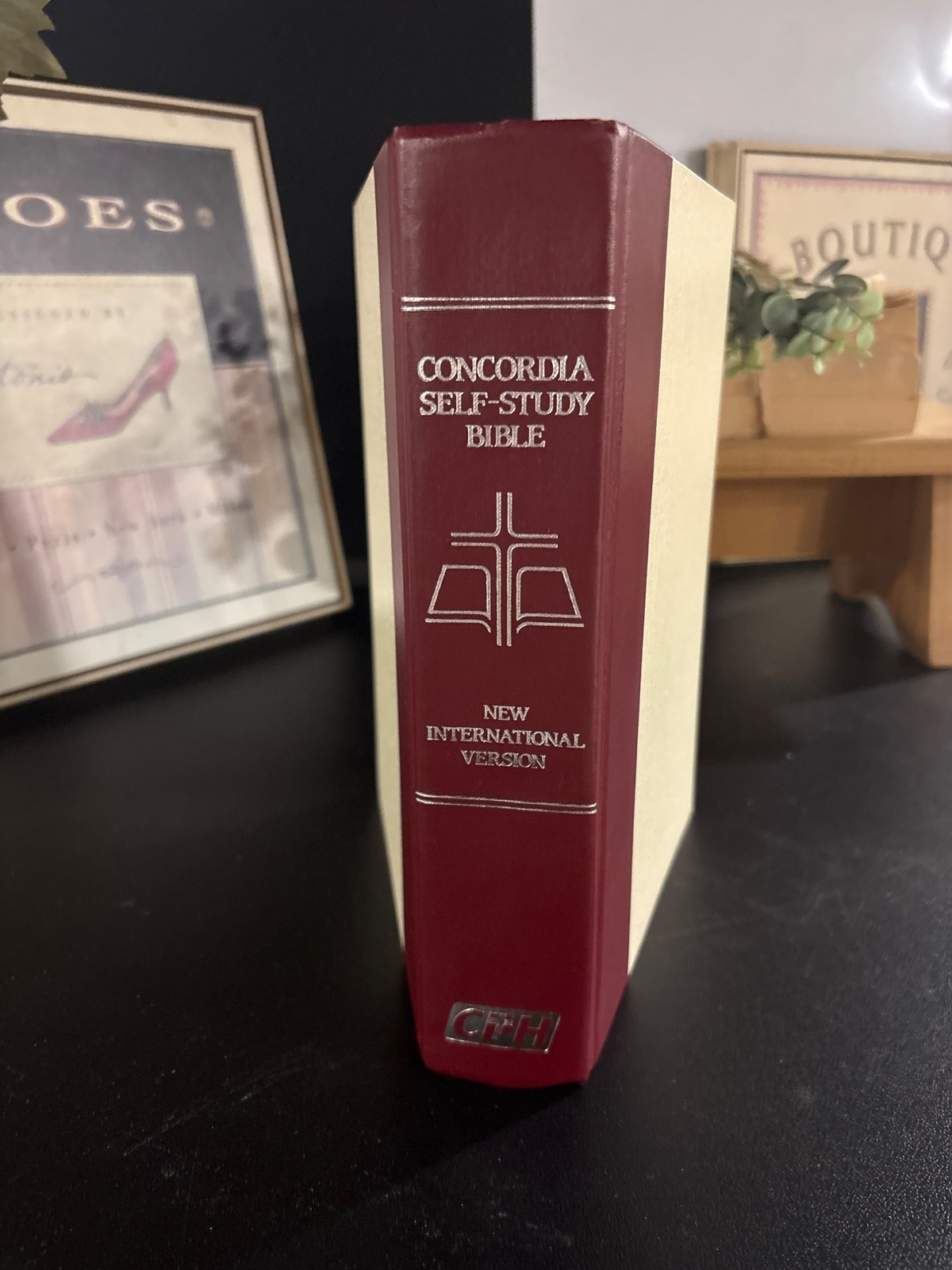Concordia NIV 1985 Self-Study Bible with Tabs Elegant Design