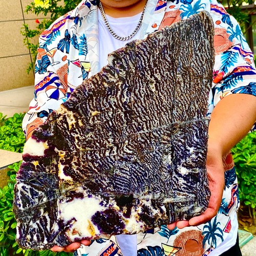 5.92LB Natural agate, zebra stone, crystal mineral, cut and polished in flakes - 第 9/12 張圖片