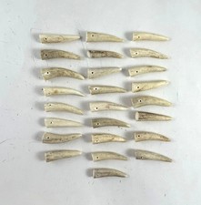 25 - 1 " DRILLED DEER ELK ANTLER TINE TIPS ARTS CRAFTS JEWELRY TOGGLES Bag 1886