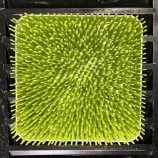 Boon Lawn Countertop Drying Rack - Green