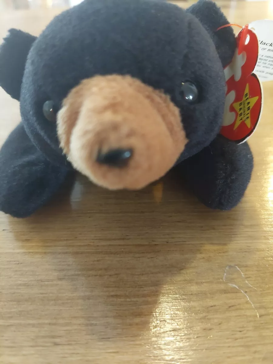 Rare Mint 1993 Ty Beanie Blackie The Bear With PVC And 8 Tag Errors