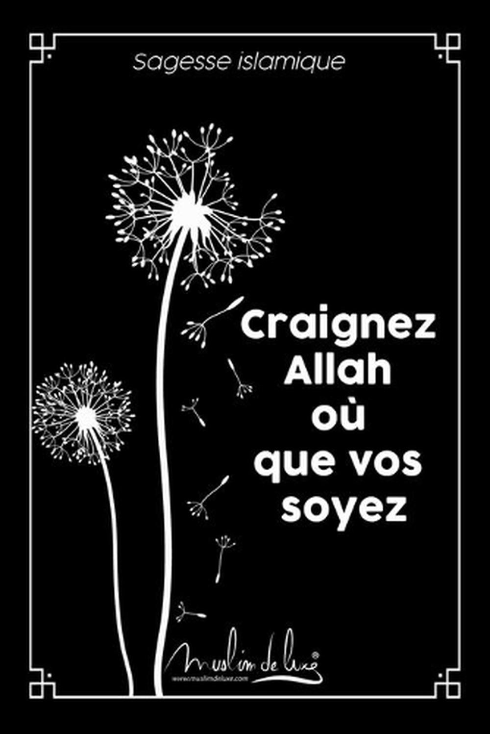 Imagen 1 de 1