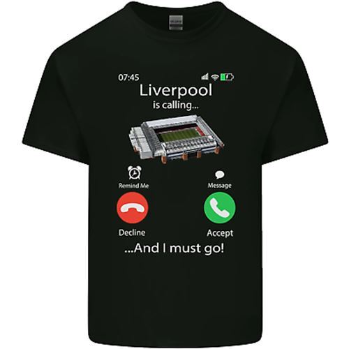 T-shirt Officiel Liverpool FC Homme - Gris - Taille L - Maillot Décontracté 100% Coton - état Tip Top
