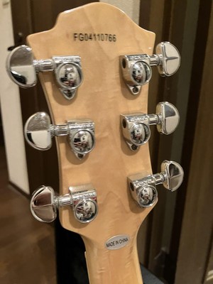 Fernandes Mg-115C X Japan Hide Model | eBay