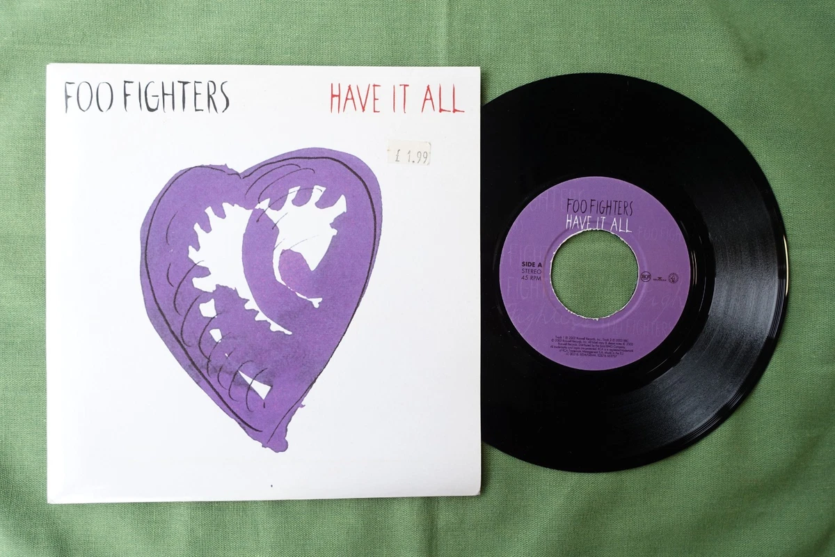 Foo Fighters 7