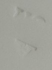 Bild 23 von 24