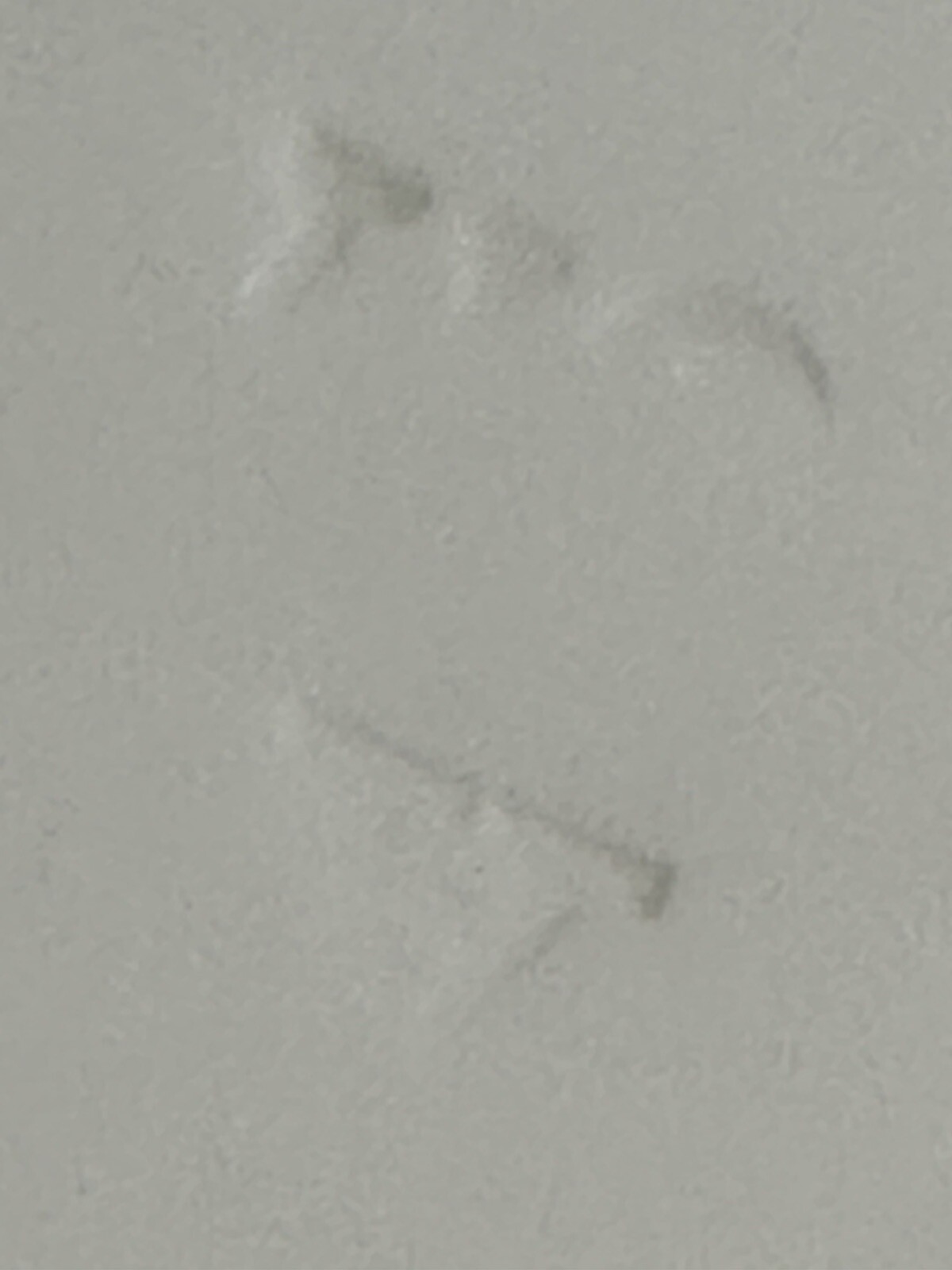 Picture 23 of 24