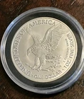 New ListingLot Of 2 - 2024 W American Eagle Novelty Coins