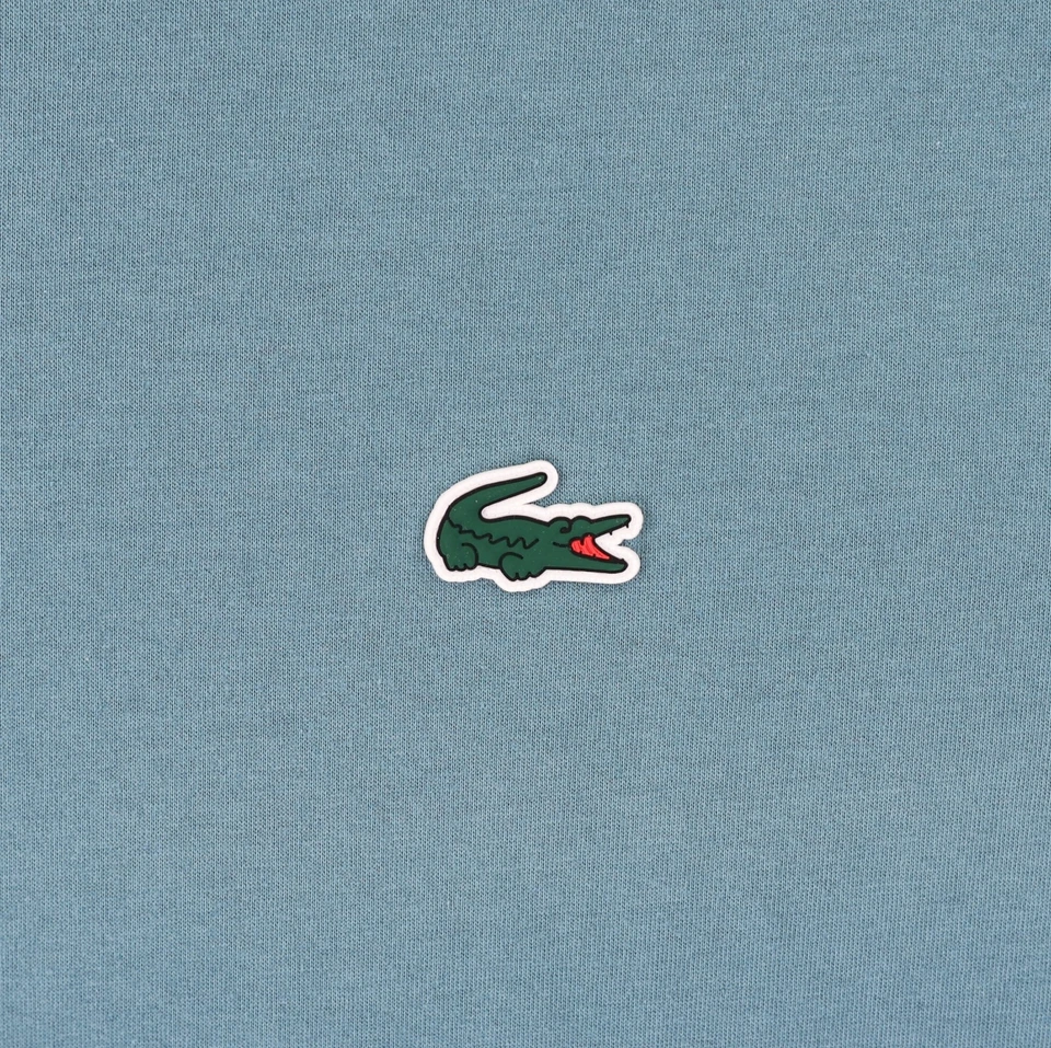 Novak Djokovic Lacoste 图形网球标准版型 T 恤男式 6 XL 绿色 — 第 4/4 张图片