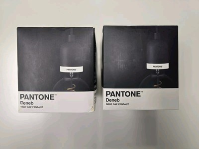2 Pack Black PANTONE Deneb Drop Cap Pendant Hanging Light Fixture