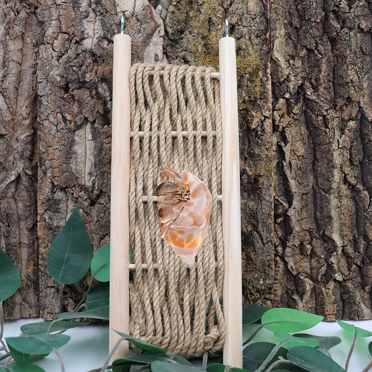 Hermit crab climbing toys cheap