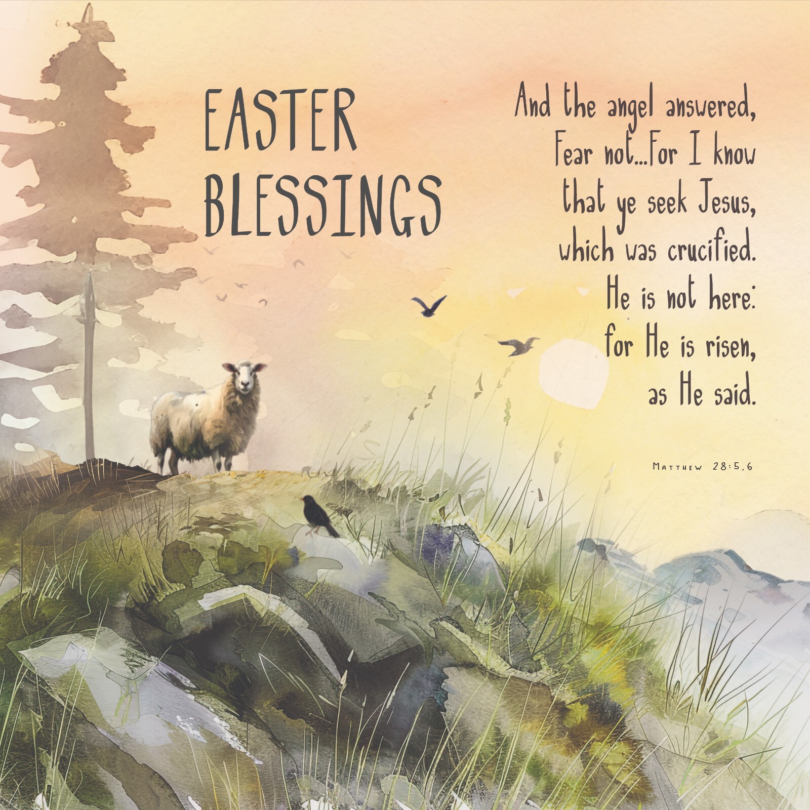 Packung mit 12 hochwertigen christlichen Osterkarten - Sonnenaufgang - Er ist auferstanden Malerei