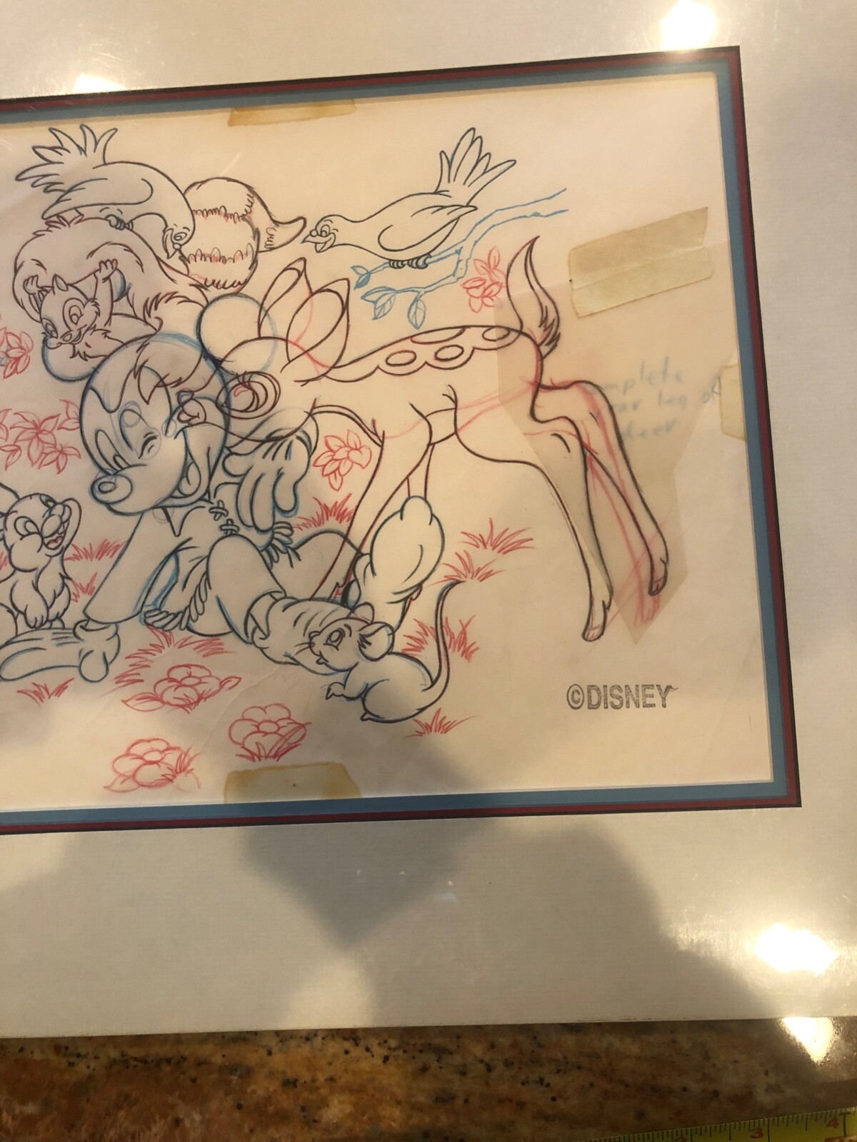 Picture 5 of 10