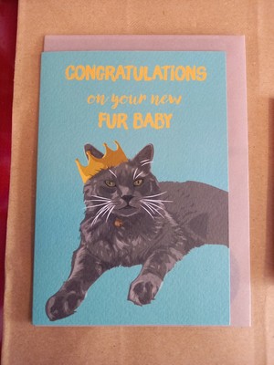 Glückwunschkarte zum neuen Fell Baby Katze Thema. Rohling innen.